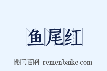 鱼尾红是什么意思的图片